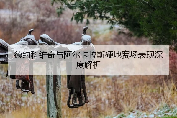 de-yue-ke-wei-qi-yu-a-er-ka-la-si-ying-di-sai-chang-biao-xian-shen-du-jie-xi-2-895.jpg